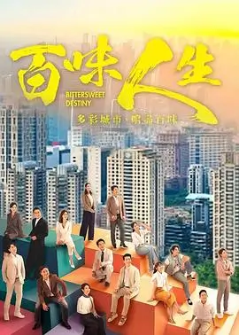 雾港谜案热播电视剧海报